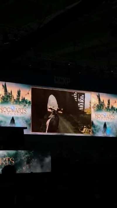 A little glimpse of what riding a fantastic beast will be like in Hogwarts Legacy