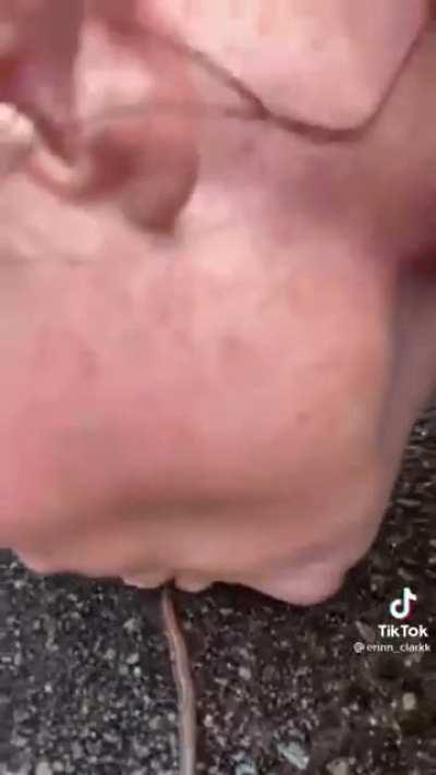 The early 🐦 gets the worm