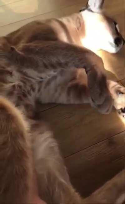 POV: you made it in life