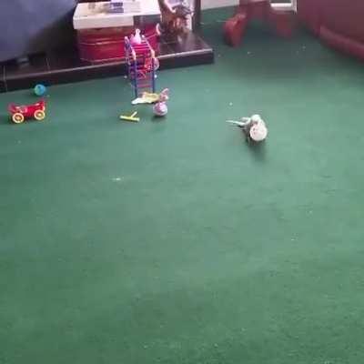 Smol crime crook celebrating the big heist