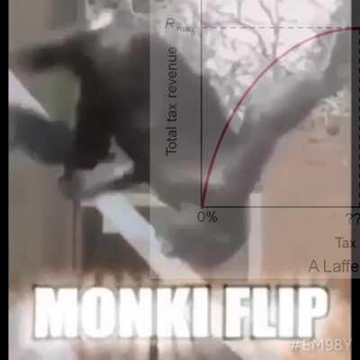 Reject Taxation‌, Embrace Monke.