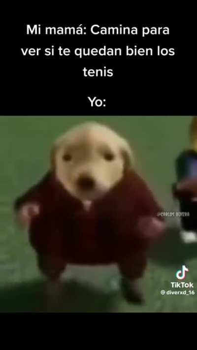 Unos Panam clásicos mamalones