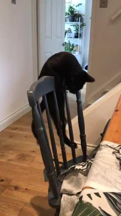 How my 2020 is going...