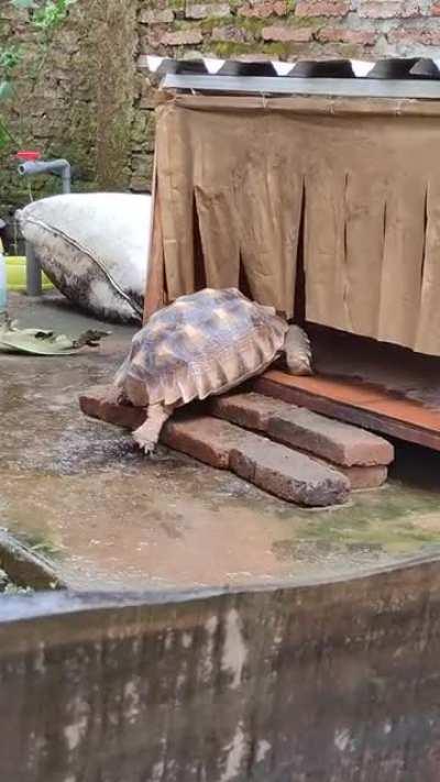 Coming home after a long day at work