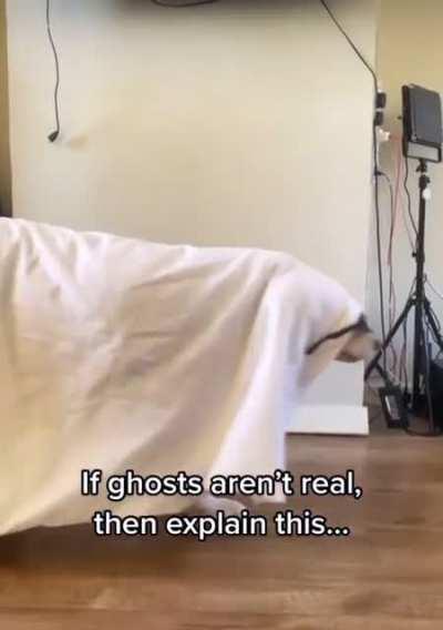 Told y’all ghosts were real😂