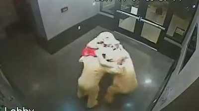 Men's brain works differently