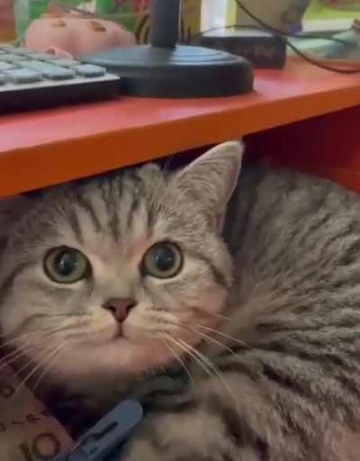 woman close the door!