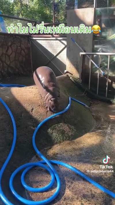 She faced her fears!!! 