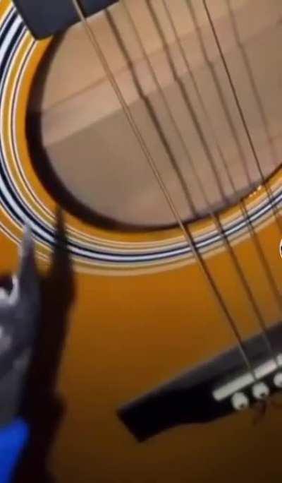 Guitar strings destroy wire cutters.