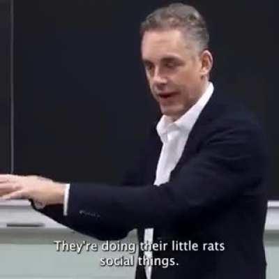 ripped from the metaverse