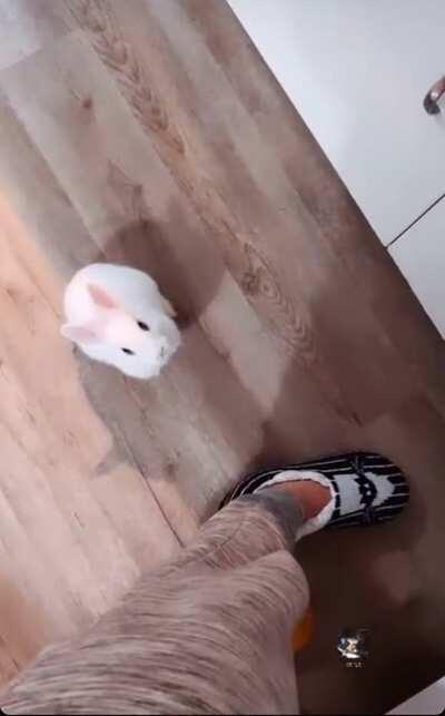 She’s always watching...waiting for snacks