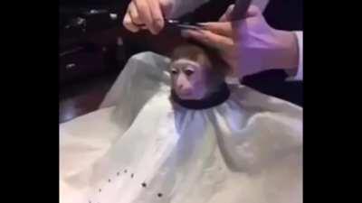 I hope you like it, it took me longer than I thought