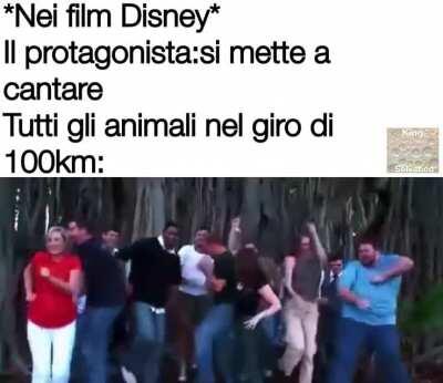 Che ne dite domani su memesITA?