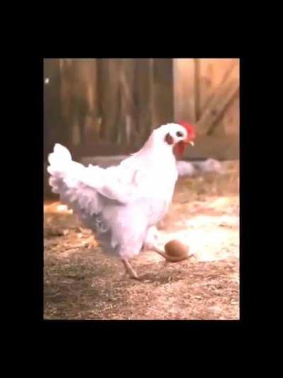 ⠀⠀⠀⠀⠀⠀⠀⠀⠀