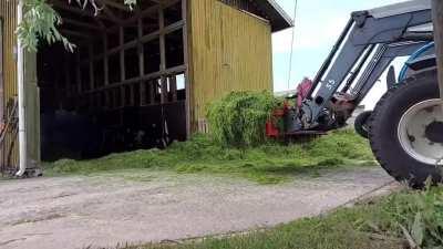 Loading silage in to the silo