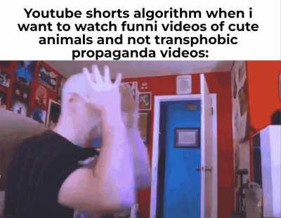 I mistakenly opened Youtube shorts... NEVER AGAIN.