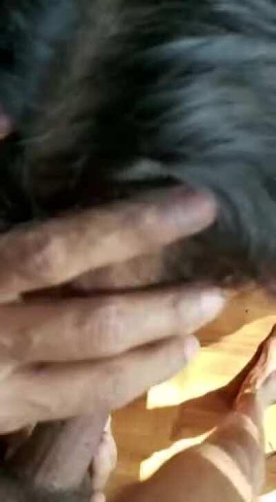 So good at sucking cock 🍆💦