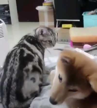 Punished for a crime he didn't commit.