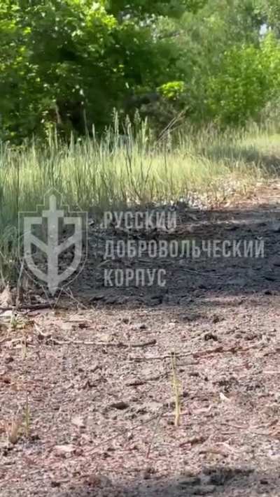 Russian Volunteer Corps 🗡🔆: 6.1.2023 