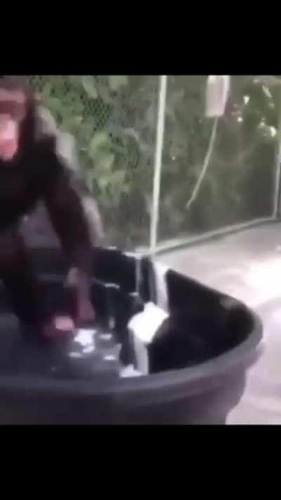 When you get 2 bananas instead of 1