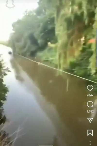 what yall think of this