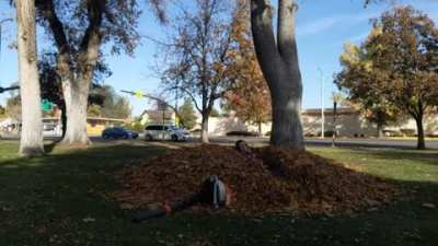 [OC] at work this morning, thought of this sub.