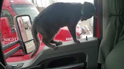 Nimbus and the attack of the door lock