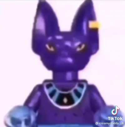 Lego beerus
