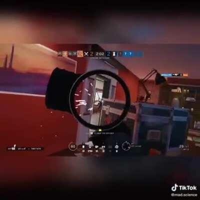 Valk on Coastline. @mad.science on TikTok