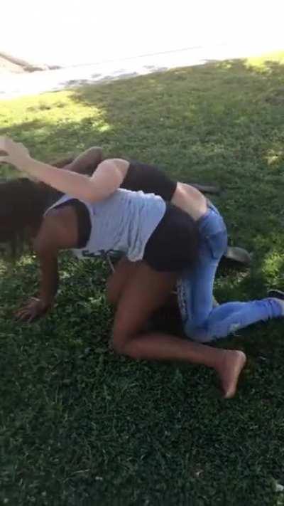 Girl Fight in the Park