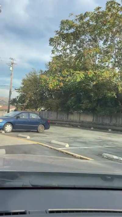 Took Kiara to check out the competition.