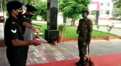 Награждение боевого тузика вам в ленту.