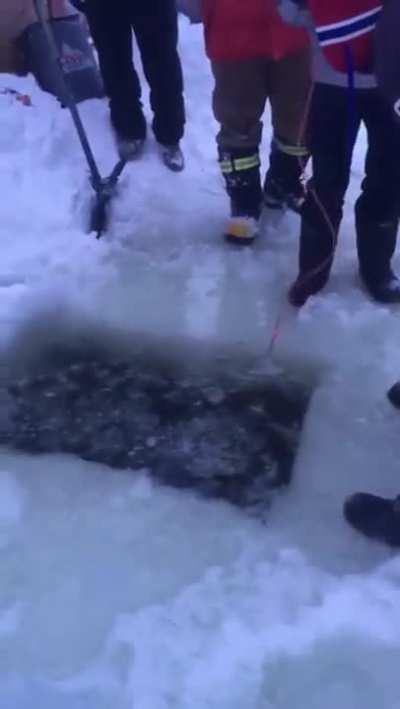 Bro helps retrieve another Bro's phone