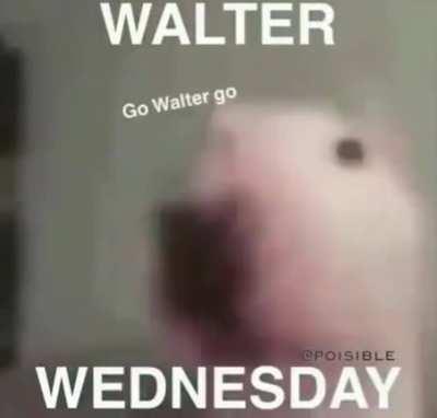 walter Wednesday