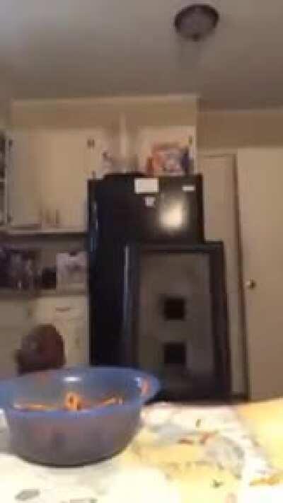 how to eat spaghetti