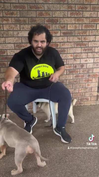 Dog trainer speaks truth about pit bull