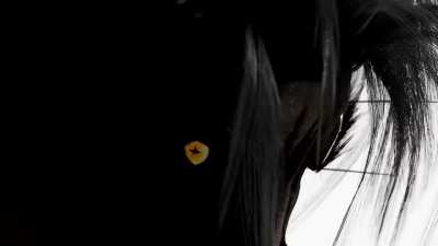 I made an AMV with clips from Fennah's animations. The song is called Alarm, it's by The Score