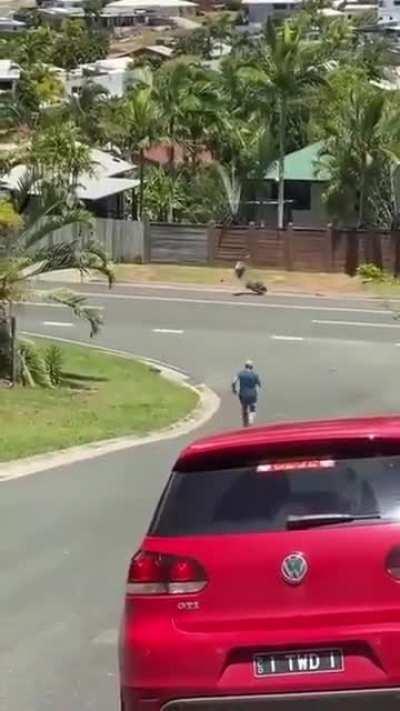 When your lawnmower quits working.