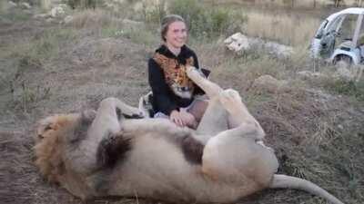 Just a girl playing with a cat in Russia