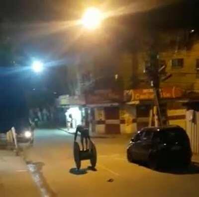 D or V? I ain't even sure.