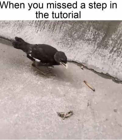 Or skip the tutorial completely