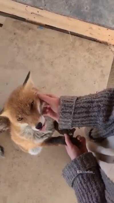 Bundanımız olsuuun🥺