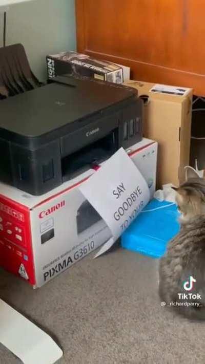 His appointment is on Tuesday.