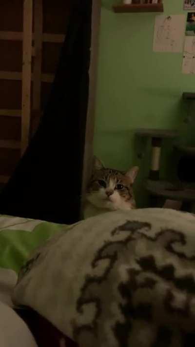 She’s been staring at me for at least 15 minutes