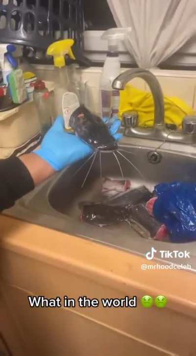 It’s not alive is it?