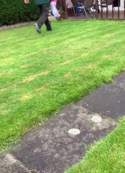 They found a pigeon in the garden that couldn’t fly. Gave him some water and food for a couple of days, even gave it a name called Pidge. WCGW?