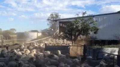 There is always a way