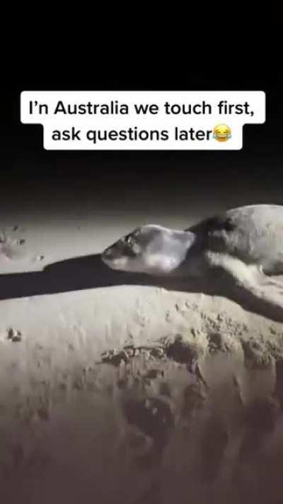 just a normal day in australia