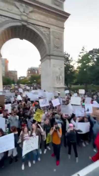 2,000 at the NYC Birds Aren’t Real rally. History.