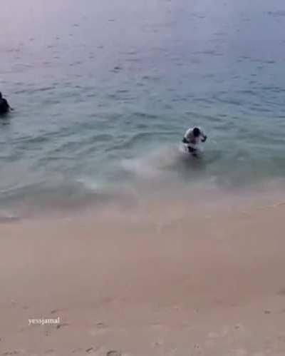 Идеальный прыжок